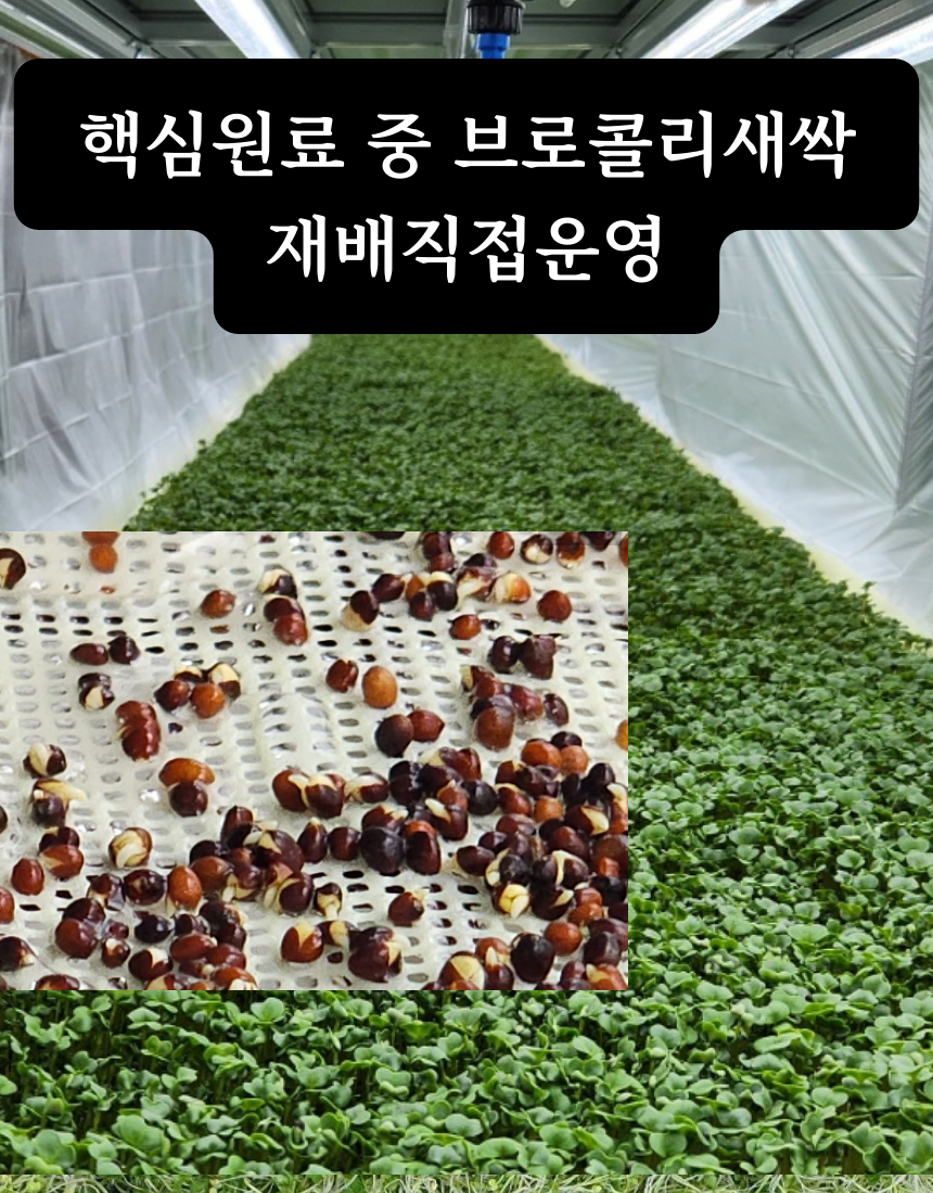 핵심원료 브로콜리새싹 직접재배 및 경영